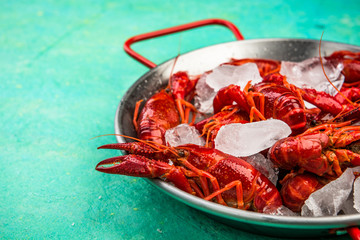 Fresh Red Crayfish with Ice Cubes on Saucepan,Copy Space