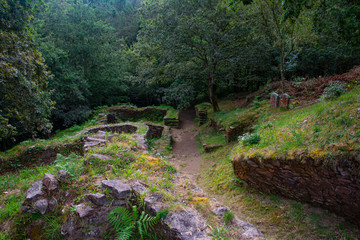 Restos de la ciudad celta.