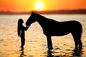 Horse and girl silhouette at sunset on river
