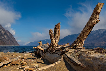 Russia. mountain Altai. Southern shore of lake Teletskoye near the mouth of the river Chulyshman