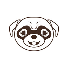 head of cute pug dog on white background