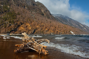 Russia. mountain Altai. Southern shore of lake Teletskoye near the mouth of the river Chulyshman