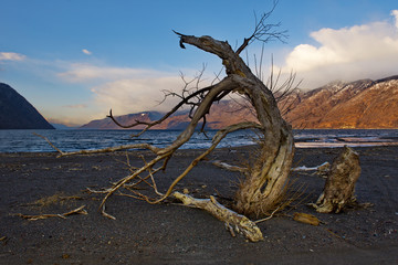 Russia. mountain Altai. Southern shore of lake Teletskoye near the mouth of the river Chulyshman
