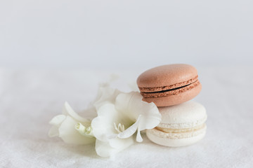 Fototapeta na wymiar Two French macarons with white flower on a white background.