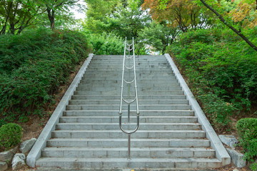 Obraz premium 숲 속의 계단 (석촌호수공원)