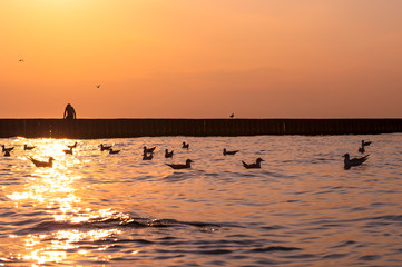 The figure of a boy who sits on a breakwater against a sunset