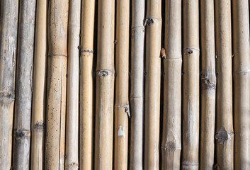 Bamboo pole wood,texture background.