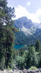 Mountains landscape in summertime