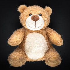 teddy bear isolated on black background
