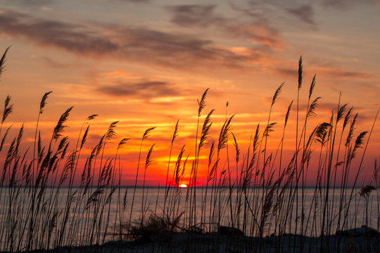 Beautiful Chesapeake Bay Colorful Sunrise Landscape In Southern Maryland Calvert County Usa