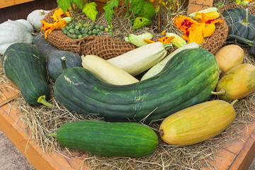 Autumn exhibition of fruits and vegetables.