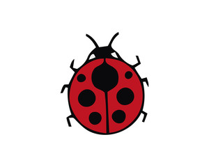 Ladybug small icon. Red lady bug sign, isolated on white background. Wildlife animal design. Cute colorful ladybird. Insect cartoon beetle. Symbol of nature, spring, summer. Vector illustration