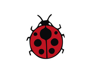 Ladybug small icon. Red lady bug sign, isolated on white background. Wildlife animal design. Cute colorful ladybird. Insect cartoon beetle. Symbol of nature, spring, summer. Vector illustration