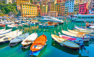 Plakat Fishing boats in the port of Camogli