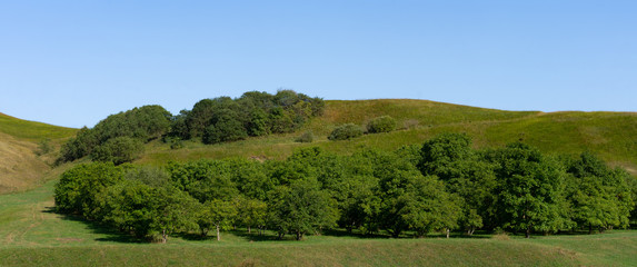 Fototapeta na wymiar Landscape of the foothill region in autumn