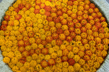 Spa flowers in the water
