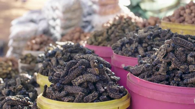 Medium shot panning across colorful buckets full of edible African caterpillars.