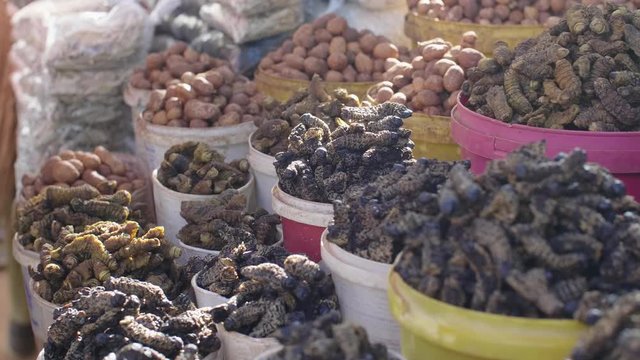 Medium shot of colorful buckets full of edible African caterpillars and nuts.
