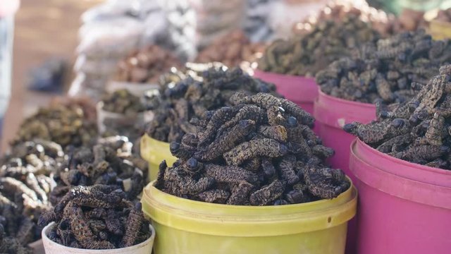 Medium shot of a hand reaching over colorful buckets full of edible African caterpillars.