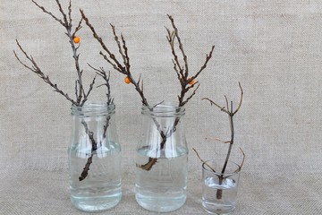 Autumn branches without leaves in glass jars on sackcloth background