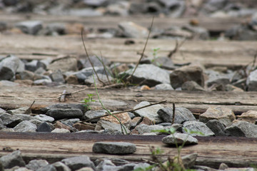 railway in the forest old rails and sleepers