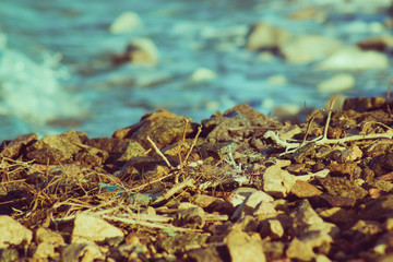 lakeside with stones and blue water