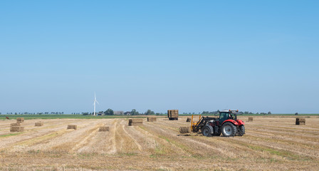 farmer with tractor collects straw bales on sunny summer day in groningen