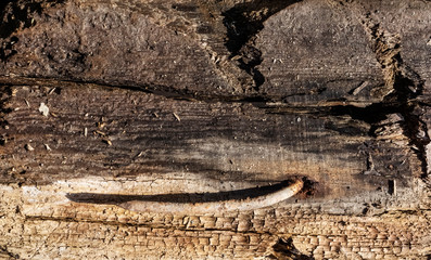 Old corroded wooden board background textured with rusty nail