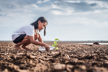 Asian girl watering green plant in dry land,Crack dried soil in drought and ,Climate change from global warming. - obrazy, fototapety, plakaty