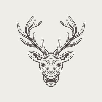 Deer head isolated on white background vector illustration