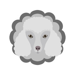 card cute and lovely of dog