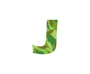 Tropical Jungle Leaves Logo Letter J Icon. J Letter Design Vector Forest Tropical Leaves Logo Icon.