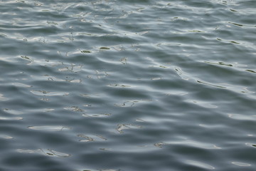 Ripples on water surface