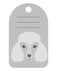 dog card with space to write