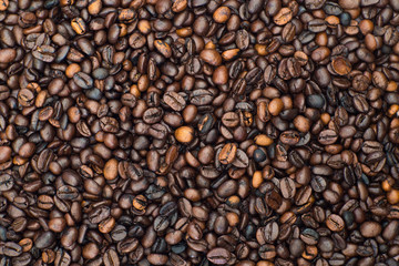 Coffee bean on top view