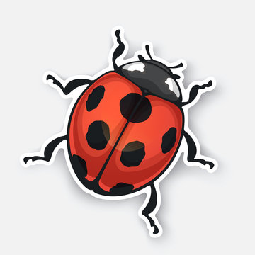 Vector illustration. Sticker of ladybug top view with contour. Red bug with black spots. Isolated on white background