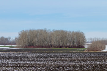 Early spring fields covered with snow, Melting snow on the plowed field