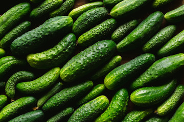 fresh green cucumbers on wooden background