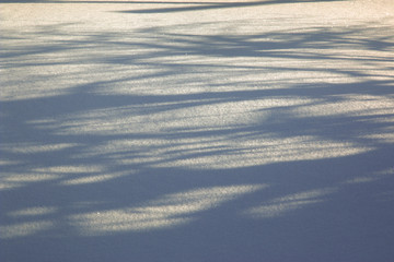 The shadow of the trees in the snow. Winter background.