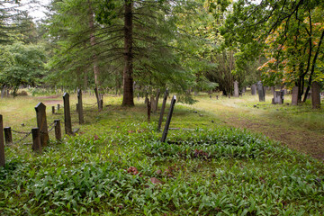 Alte Grabsteine im Wald