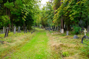Alte Grabsteine am Wegesrand