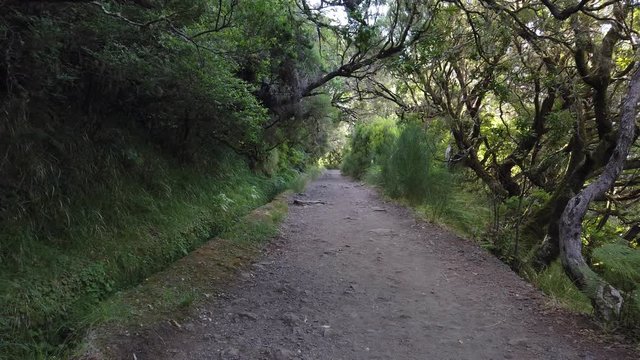 Walking on "Levada", water channel, of Rabacal, Madeira island, Portugal