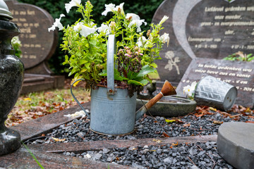 alte rostige Gießkanne als Blumentopf