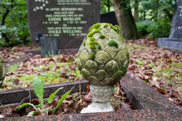 Steinerner Tannenzapfen