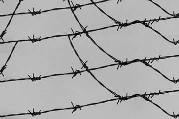 Barbed wire on fence