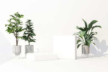 3D render of tropical plants isolated on white background.