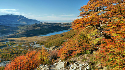 Autumn in the Patagonia, Argentina