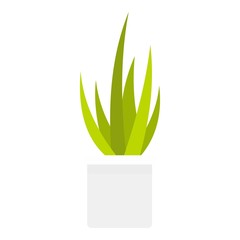 Succulent home plant icon. Flat illustration of succulent home plant vector icon for web design