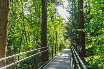 Obraz premium Suspension Walking Brdige 11