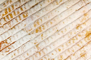 Texture of French Le Marcaire cheese